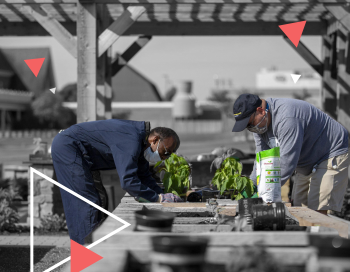 The-Scotts-Miracle-Gro-Company_-Planting-a-Cloud-Based-Future
