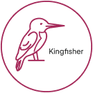 Kingfisher: The Synthetic Data Generator tool by Onix