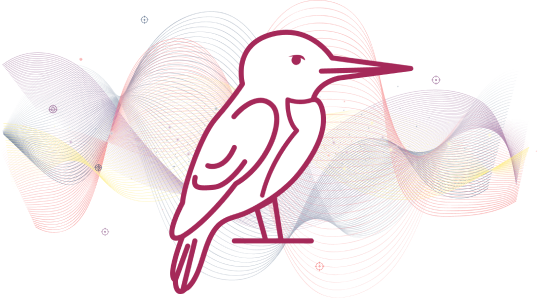 Kingfisher with datalines_1 1