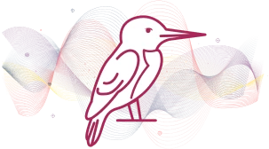 Kingfisher-with-datalines_1-3-1