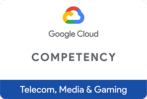 telecom_media_and_gaming_competency 1
