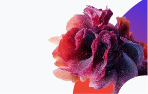 AI World in EMEA design-Onix