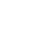 Onix Kingfisher- The Synthetic Data Generator Tool