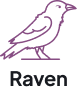 Onix Raven: Automated workload conversion & translation tool
