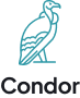 Onix Condor AI Agent