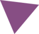 Frame Purple polygon